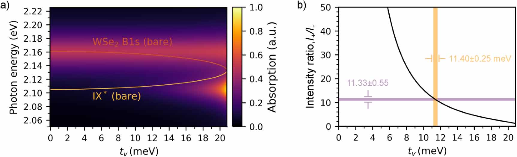 Superposition of intra- and inter-layer excitons in twistronic MoSe2 ...