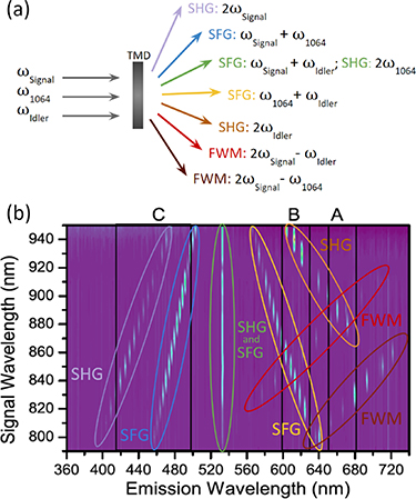 Second- and third-order optical susceptibilities across excitons states ...