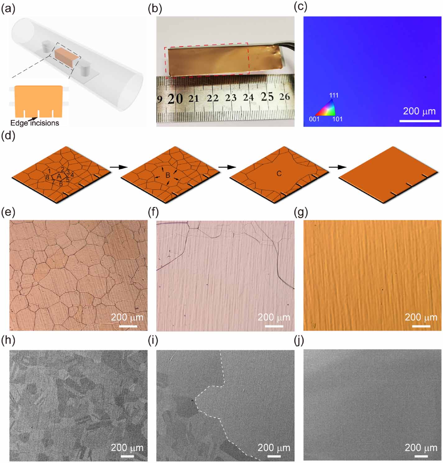 Fast growth of centimeterscale singlecrystal copper foils with highindex planes by the edge