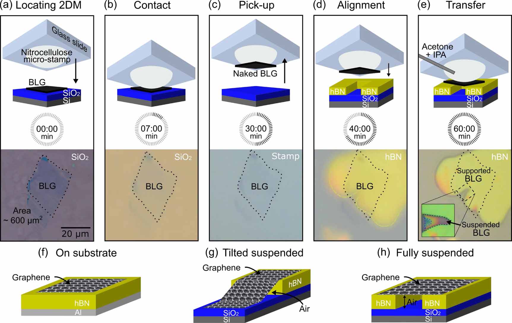 Thin-suspended 2D materials: facile, versatile, and deterministic ...
