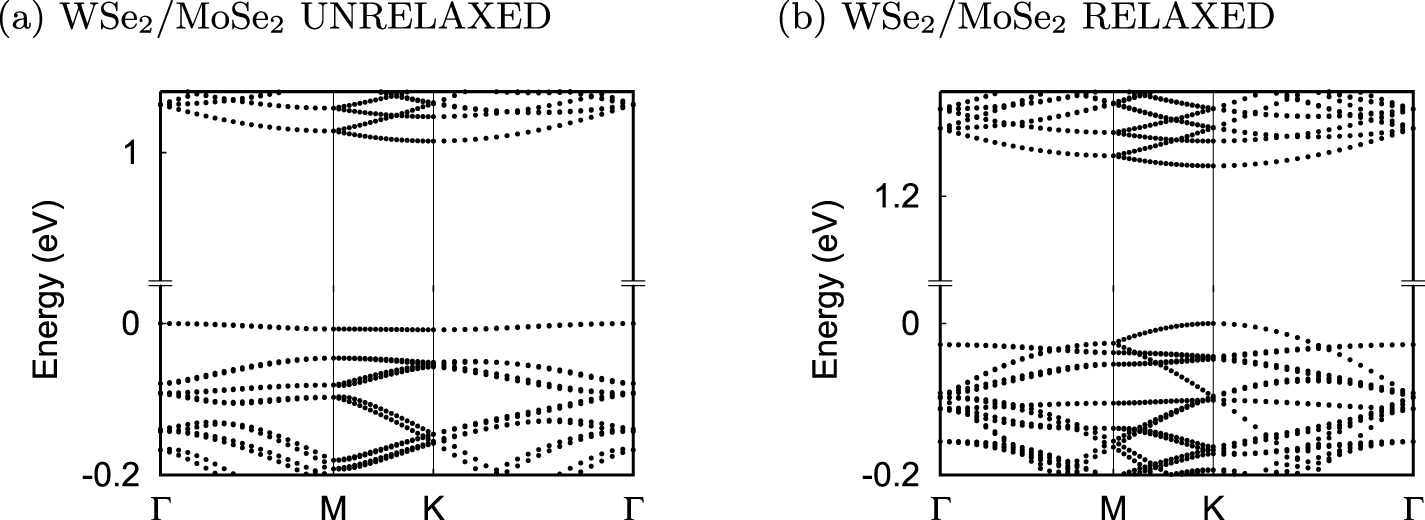 Flat band properties of twisted transition metal dichalcogenide homo ...