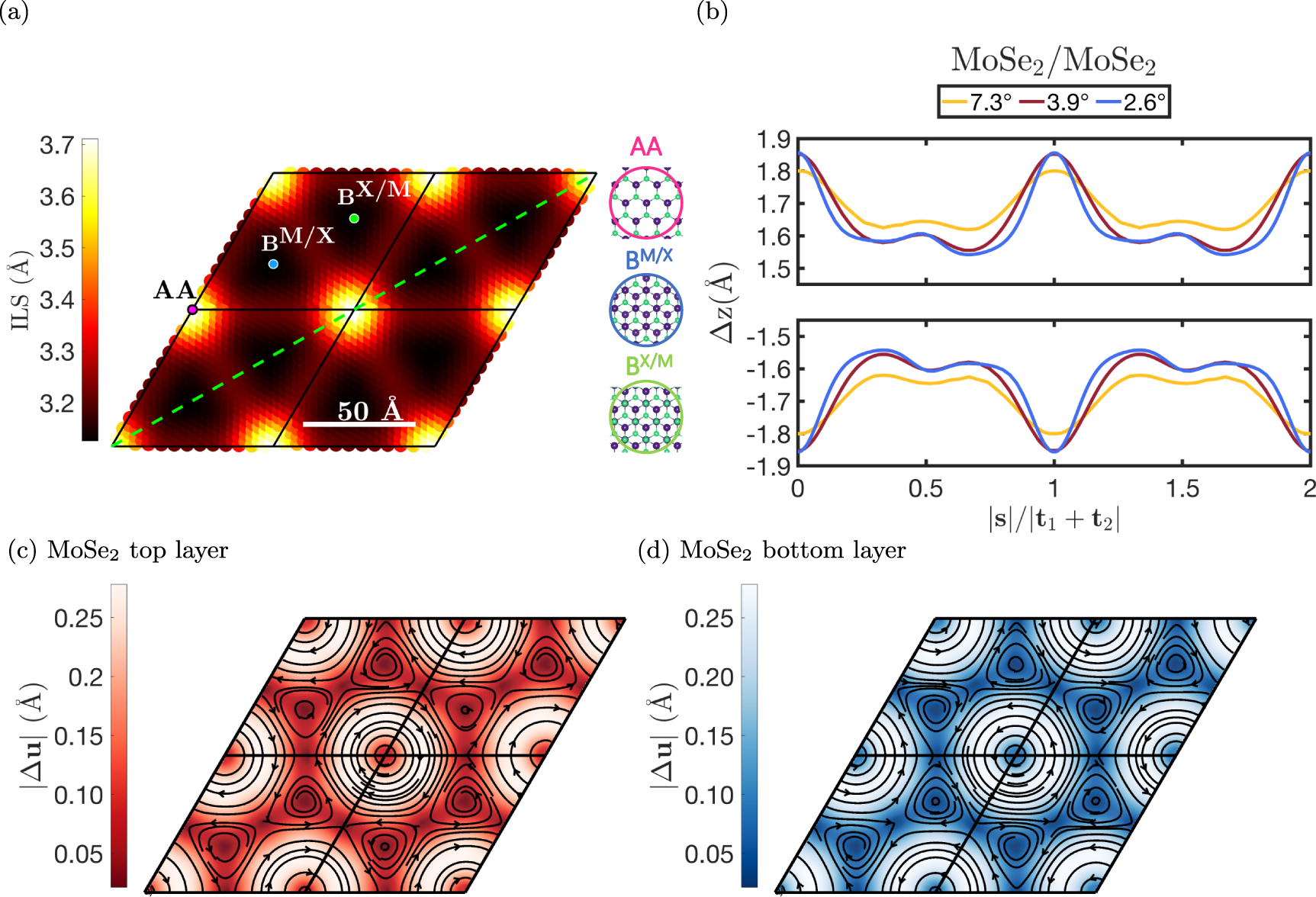 Flat band properties of twisted transition metal dichalcogenide homo ...