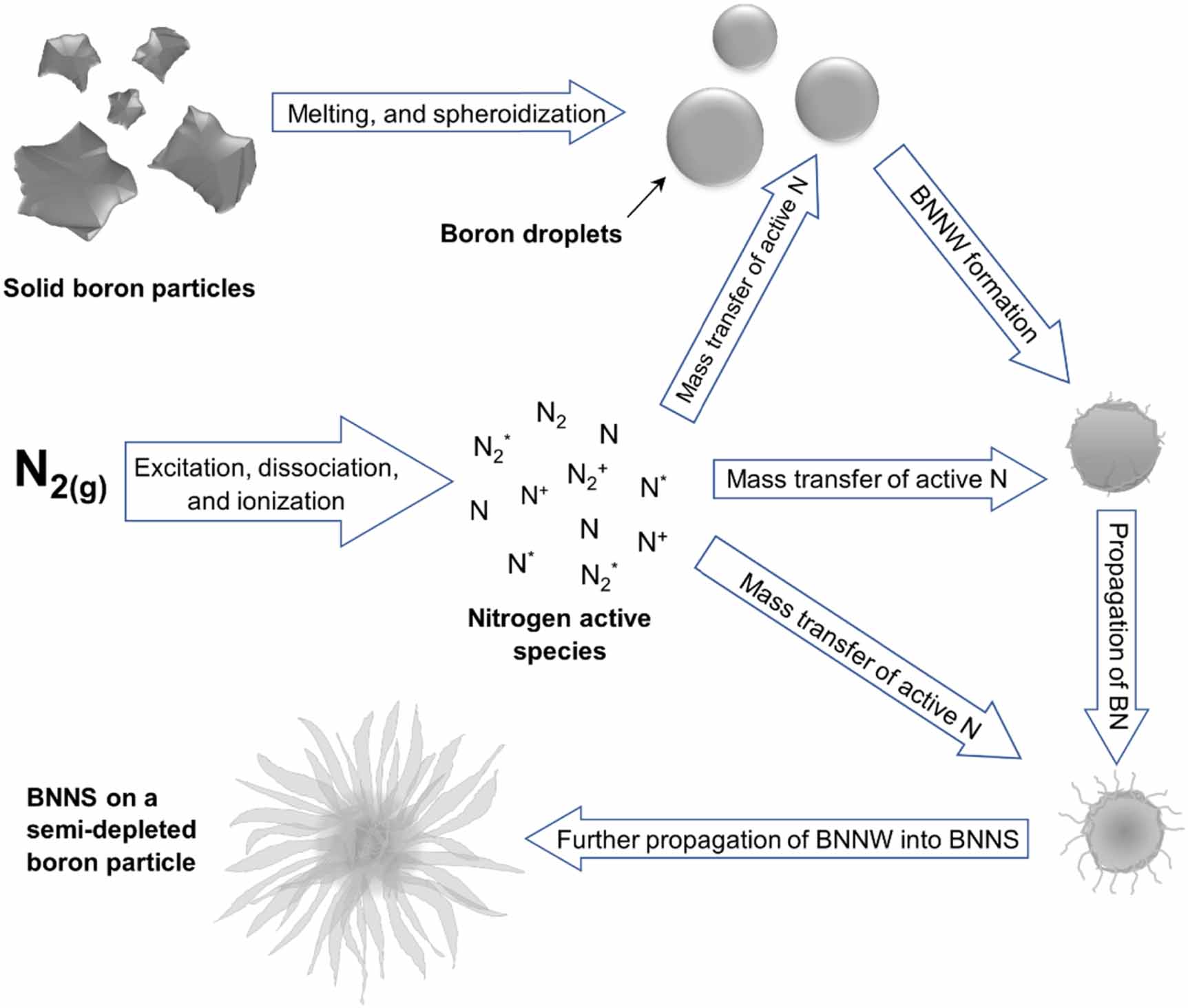 Synthesis of boron nitride nanosheets powders using a plasma based ...