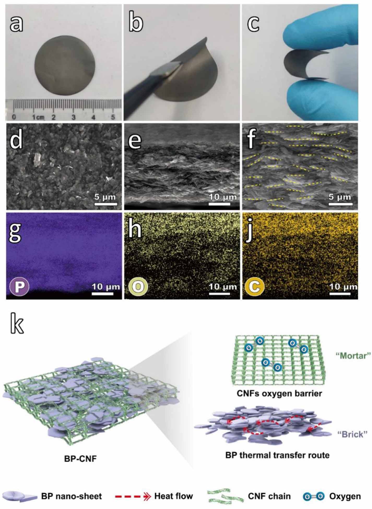 Black phosphorene-cellulose nanofiber hybrid paper as