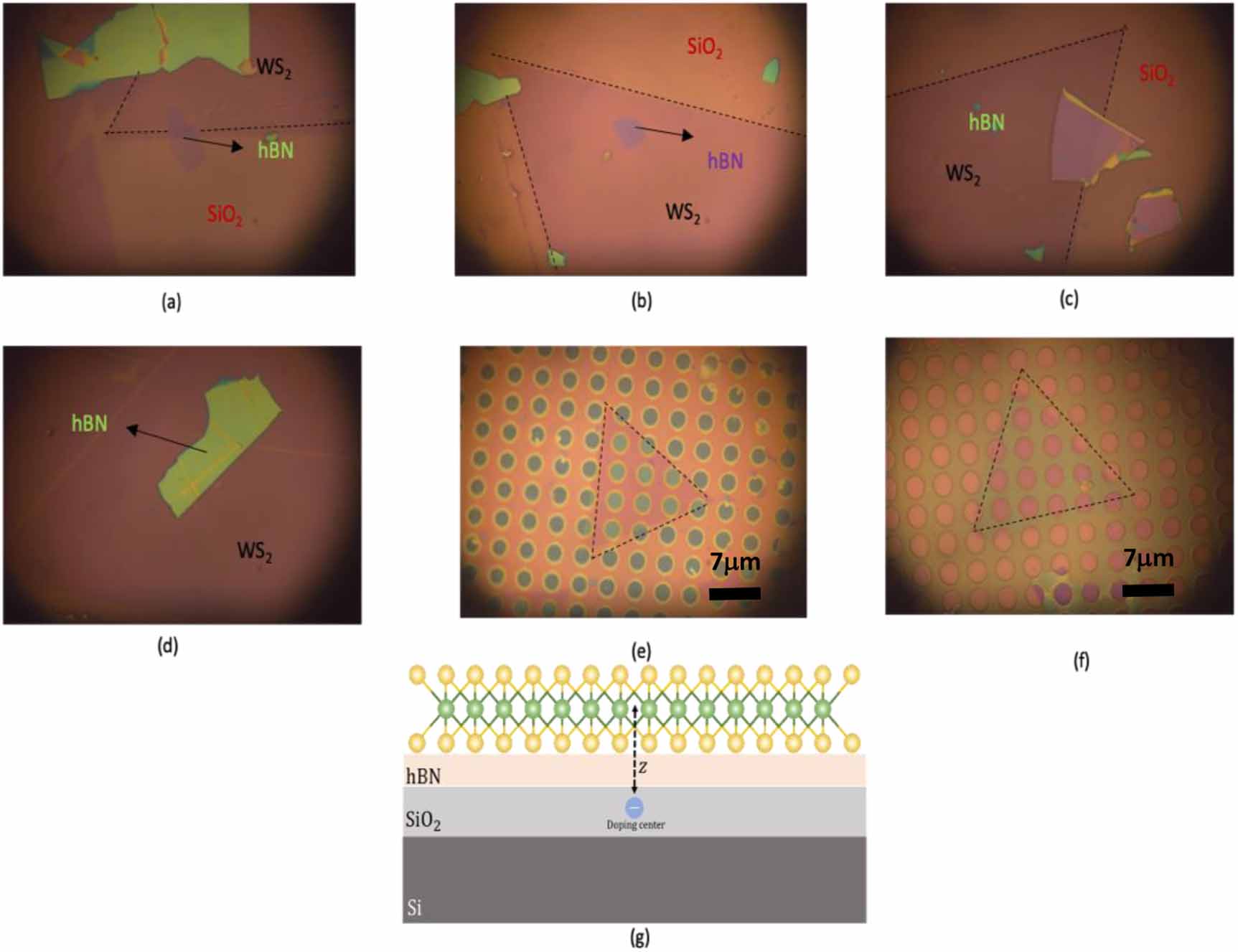 Modulation of trion and exciton formation in monolayer WS2 by ...