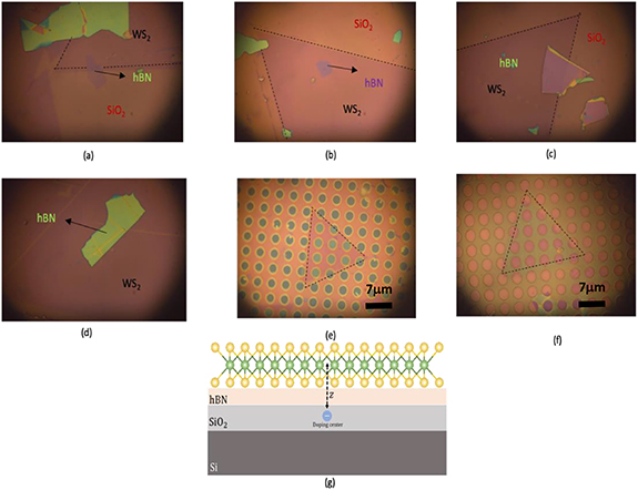 Modulation of trion and exciton formation in monolayer WS2 by ...