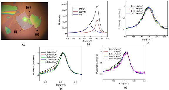 Modulation of trion and exciton formation in monolayer WS2 by ...