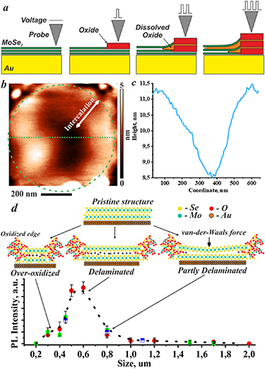 Photoluminescence enhancement in multilayered MoSe2 nanostructures ...