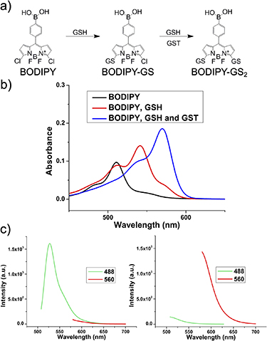 glutathione liquid side effects Design of a graphene oxide-BODIPY conjugate for glutathione depletion and  photodynamic therapy