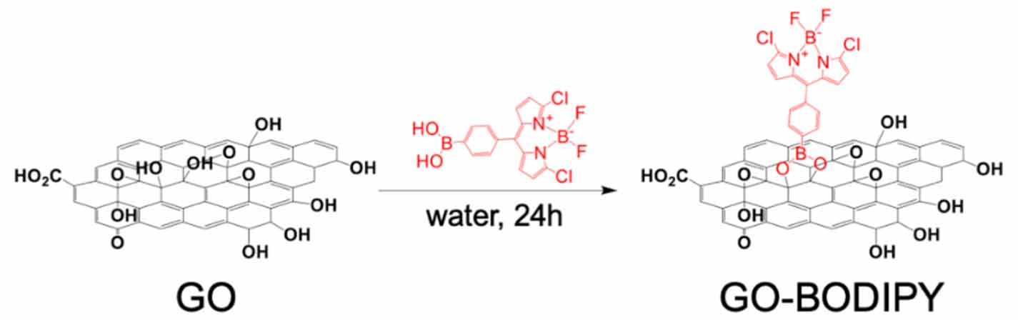 Design of a graphene oxide-BODIPY conjugate for glutathione depletion and  photodynamic therapy - IOPscience