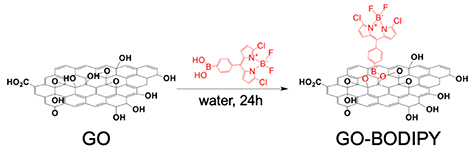 graphene oxide and glutathione Design of a graphene oxide-BODIPY conjugate for glutathione depletion and photodynamic therapy