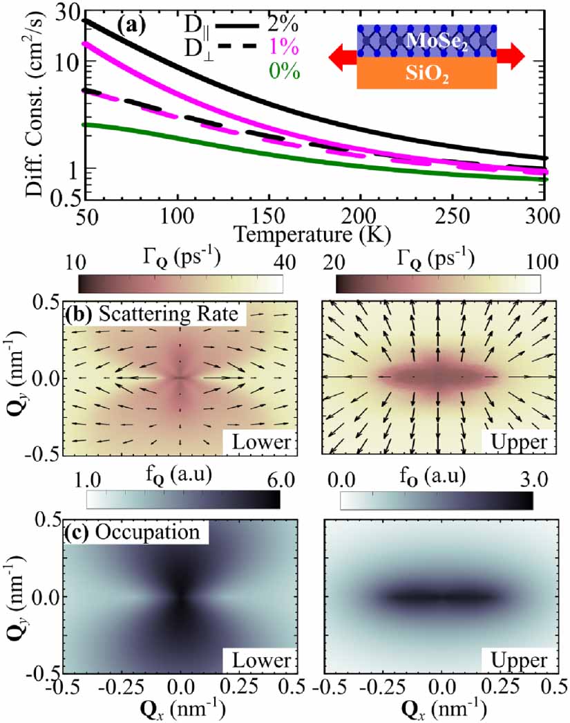 Anisotropic exciton diffusion in atomically-thin semiconductors ...
