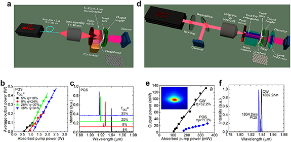 Two-dimensional material-based printed photonics: a review
