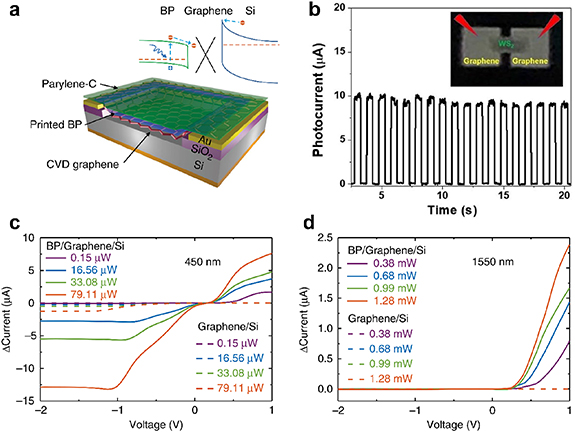 Two-dimensional material-based printed photonics: a review