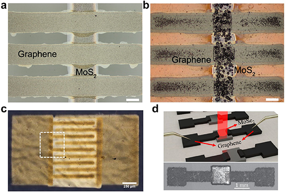 Two-dimensional material-based printed photonics: a review