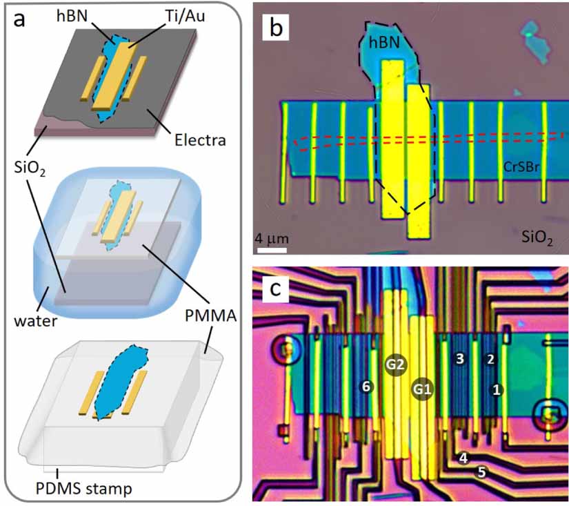 Spin injection by spin–charge coupling in proximity induced magnetic ...