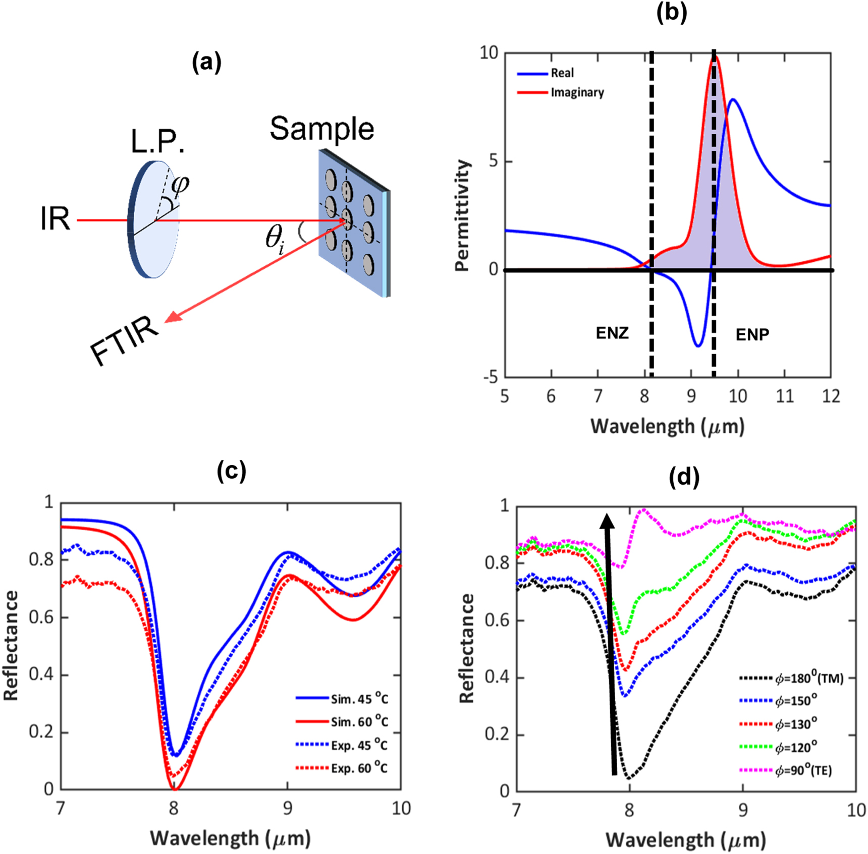 Sio2 Polar Effects of silicon dioxide as the polar dielectric on the infrared ...