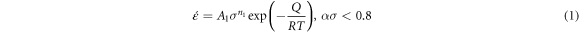 Equation (1)