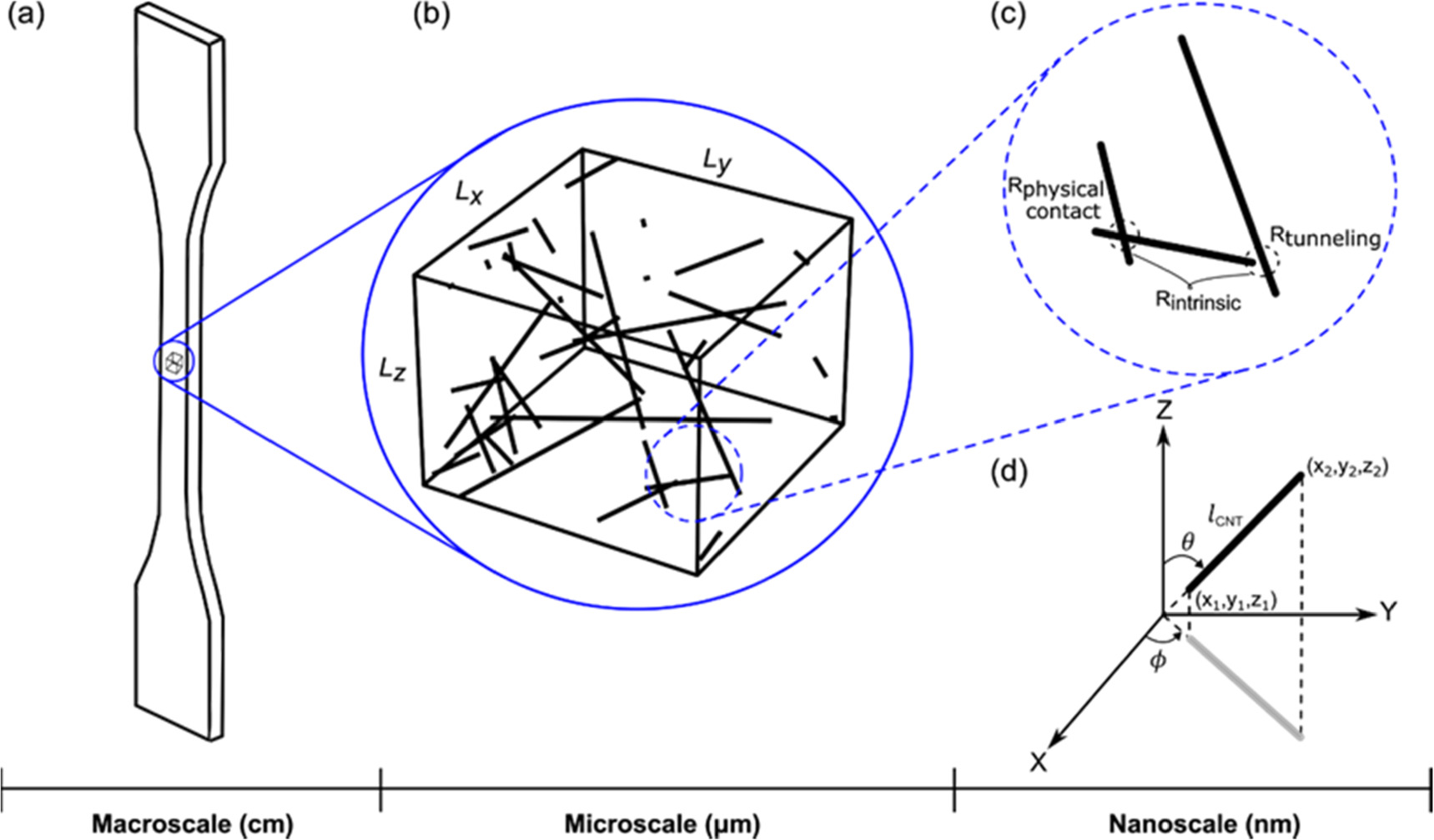 Effect of carbon nanotube type and length on the electrical ...
