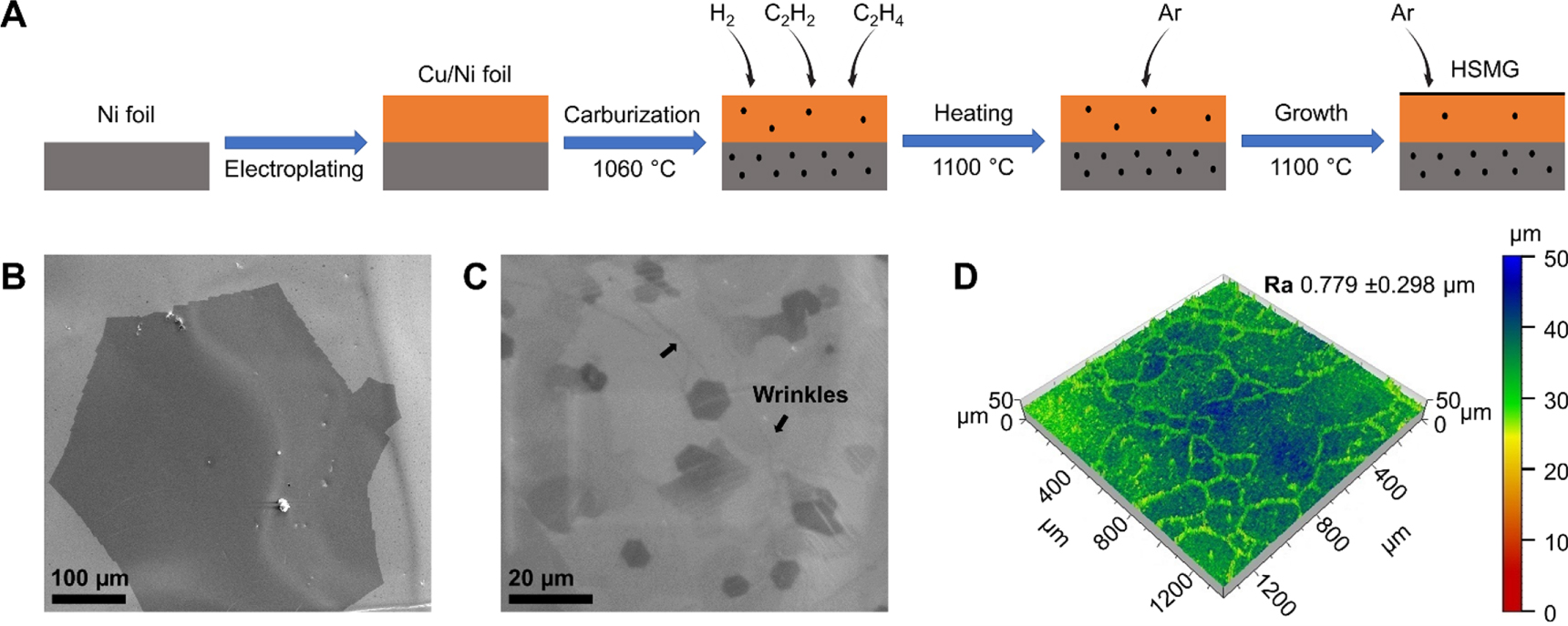 Assessing the quality of large-area monolayer graphene grown on liquid ...