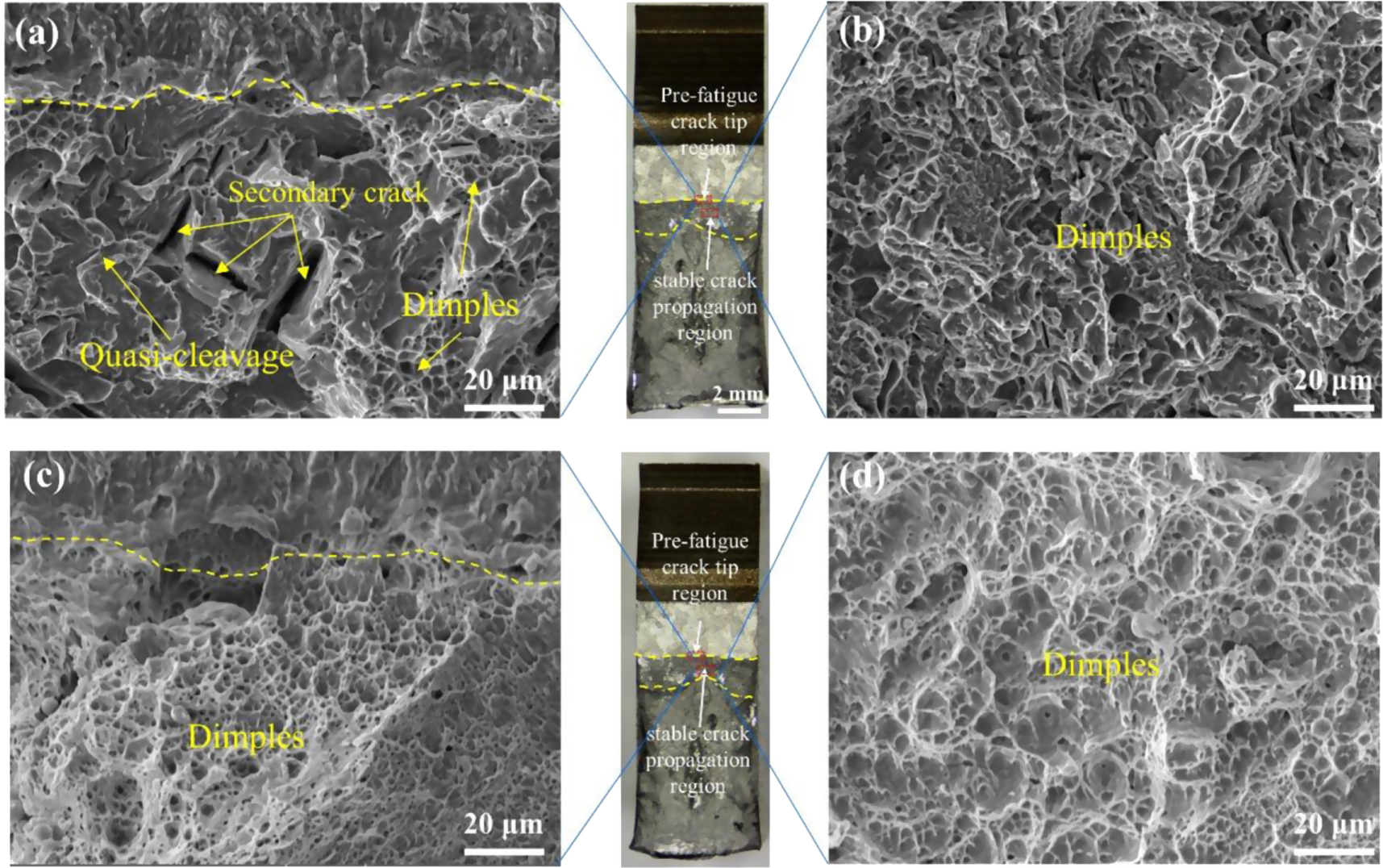 Effect of microstructure heterogeneity on the cryogenic fracture ...