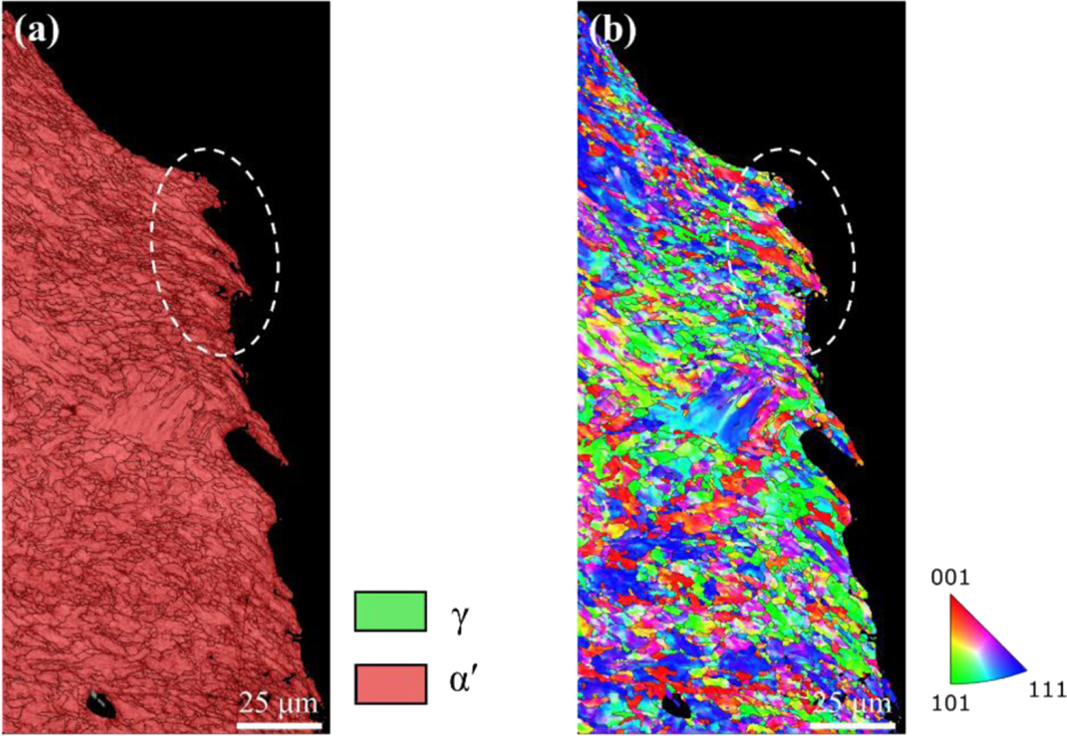 Effect of microstructure heterogeneity on the cryogenic fracture ...