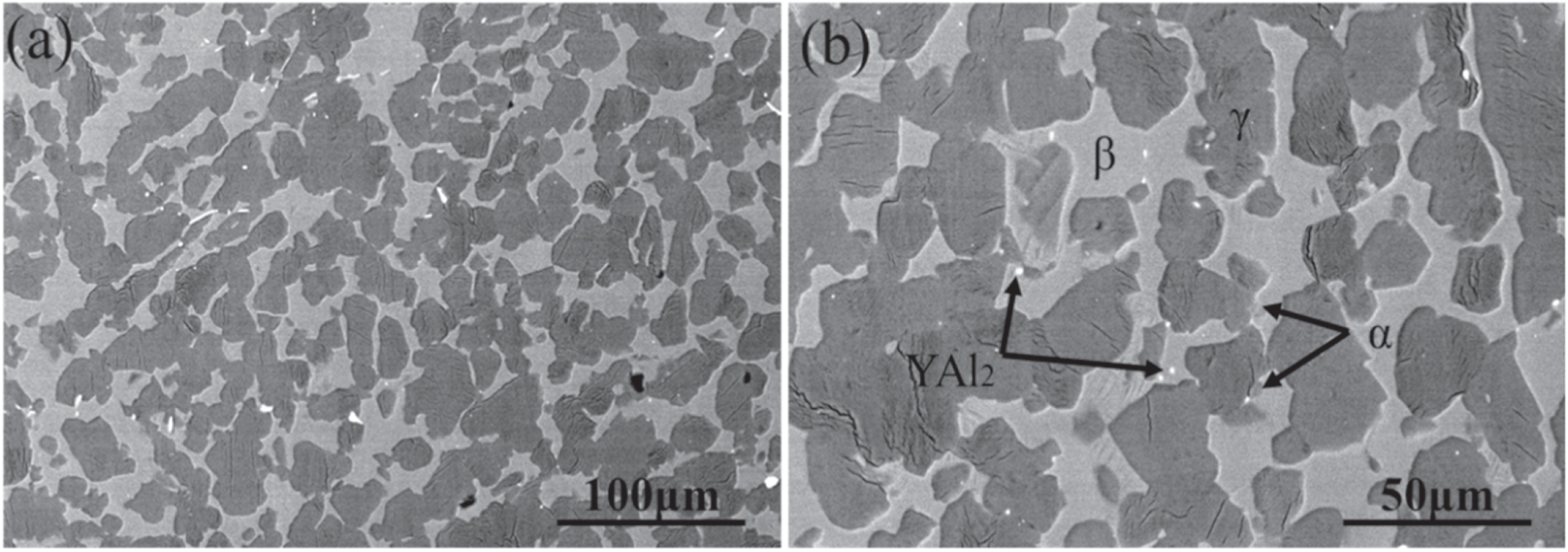 Constitutive equation and microstructure evolution of TiAl alloy during ...