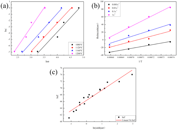 Constitutive equation and microstructure evolution of TiAl alloy during ...