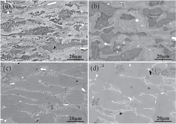 Constitutive equation and microstructure evolution of TiAl alloy during ...