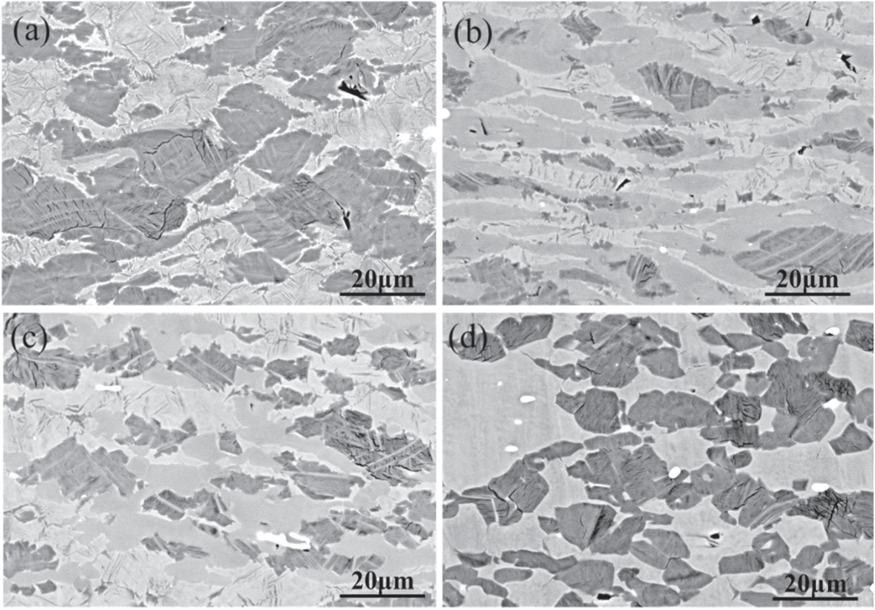 Constitutive equation and microstructure evolution of TiAl alloy during ...