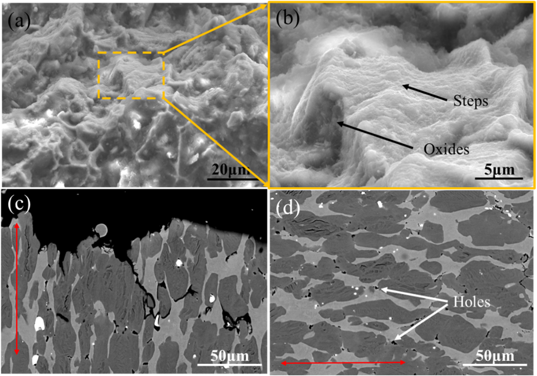 Constitutive equation and microstructure evolution of TiAl alloy during ...