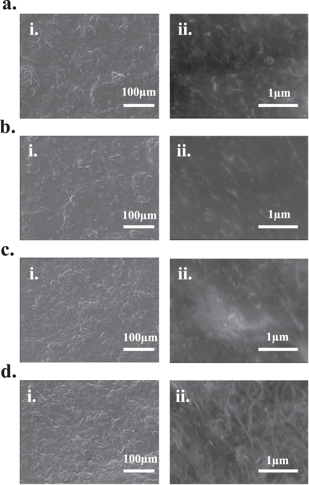 Structural conductive carbon nanotube nanocomposites for stretchable ...