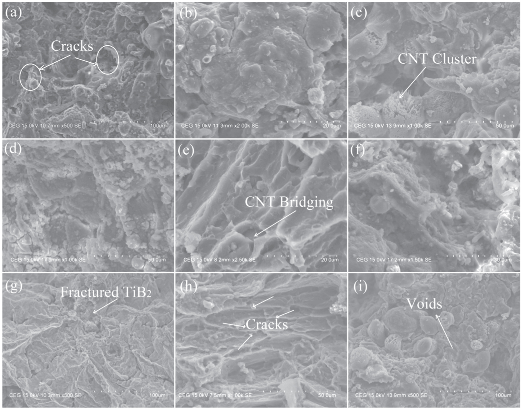 Characterization and strengthening mechanism of CNT/TiB2 particulates ...