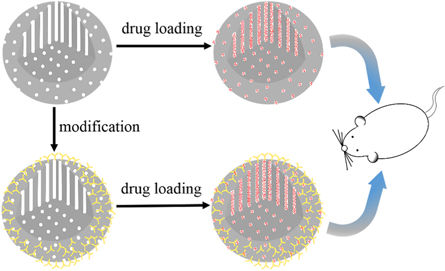 Advances of typical mesoporous materials and the application in drug ...