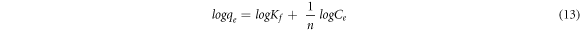 Equation (13)