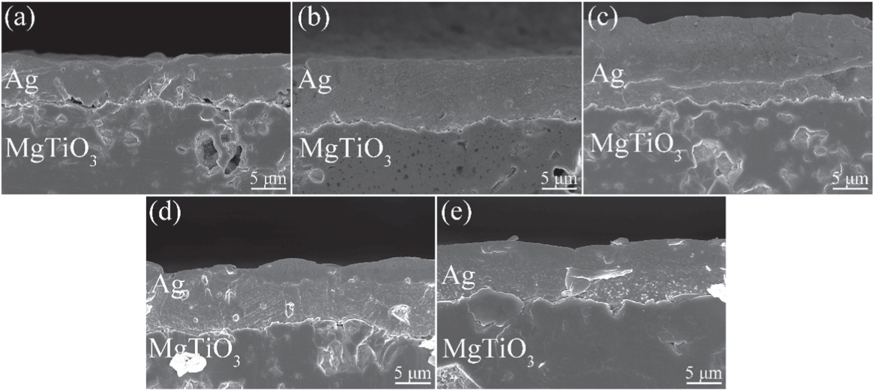 The silver paste containing ZnO-B2O3-SiO2 glass sintered at high ...