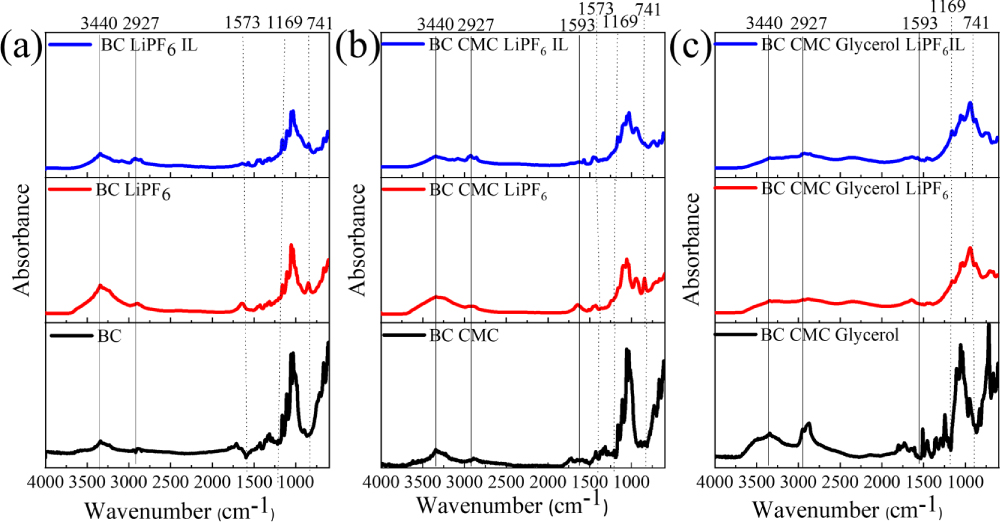Flexible fibrous structure of bacterial cellulose by synergic role