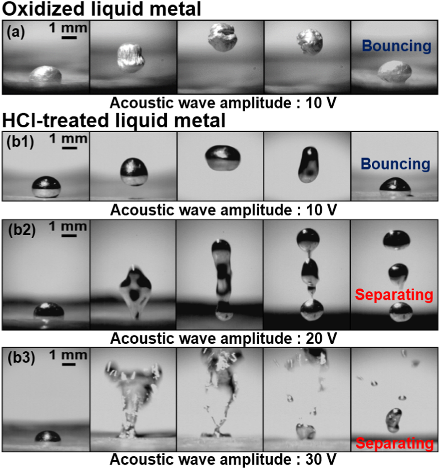 Acoustic wave-driven oxide dependant dynamic behavior of liquid metal ...