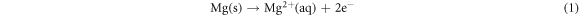 Equation (1)
