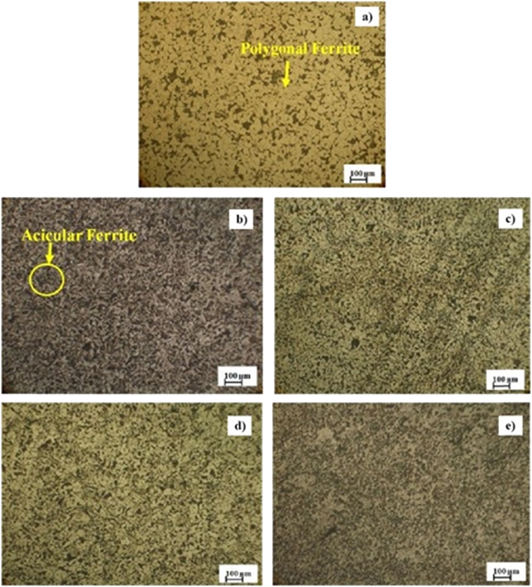 Effect of zirconium and niobium on the microstructure and mechanical ...
