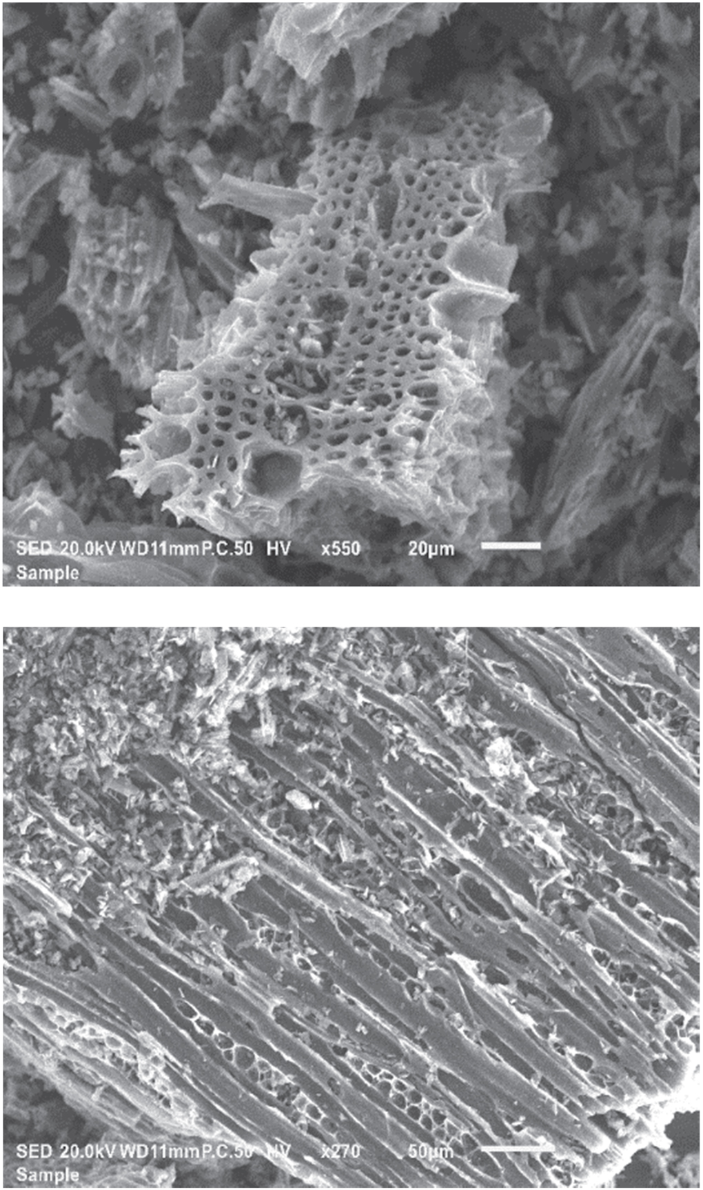 Experimental study of CO2 and N2 adsorption on activated carbon ...