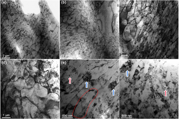 Effect of heat treatment on the microstructure and mechanical ...