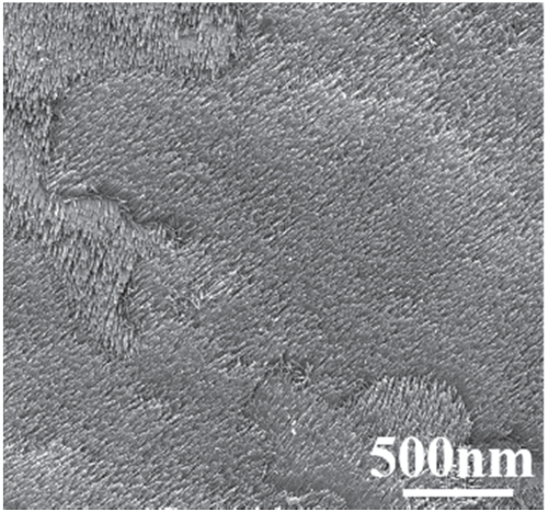 Kristal Tio2 Synthesis of uniformly ordered single-crystalline TiO2 nanorods on ...