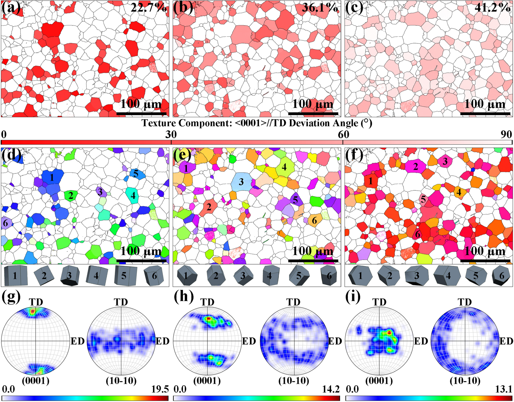In-situ SEM and EBSD investigation of the deformation behavior of ...