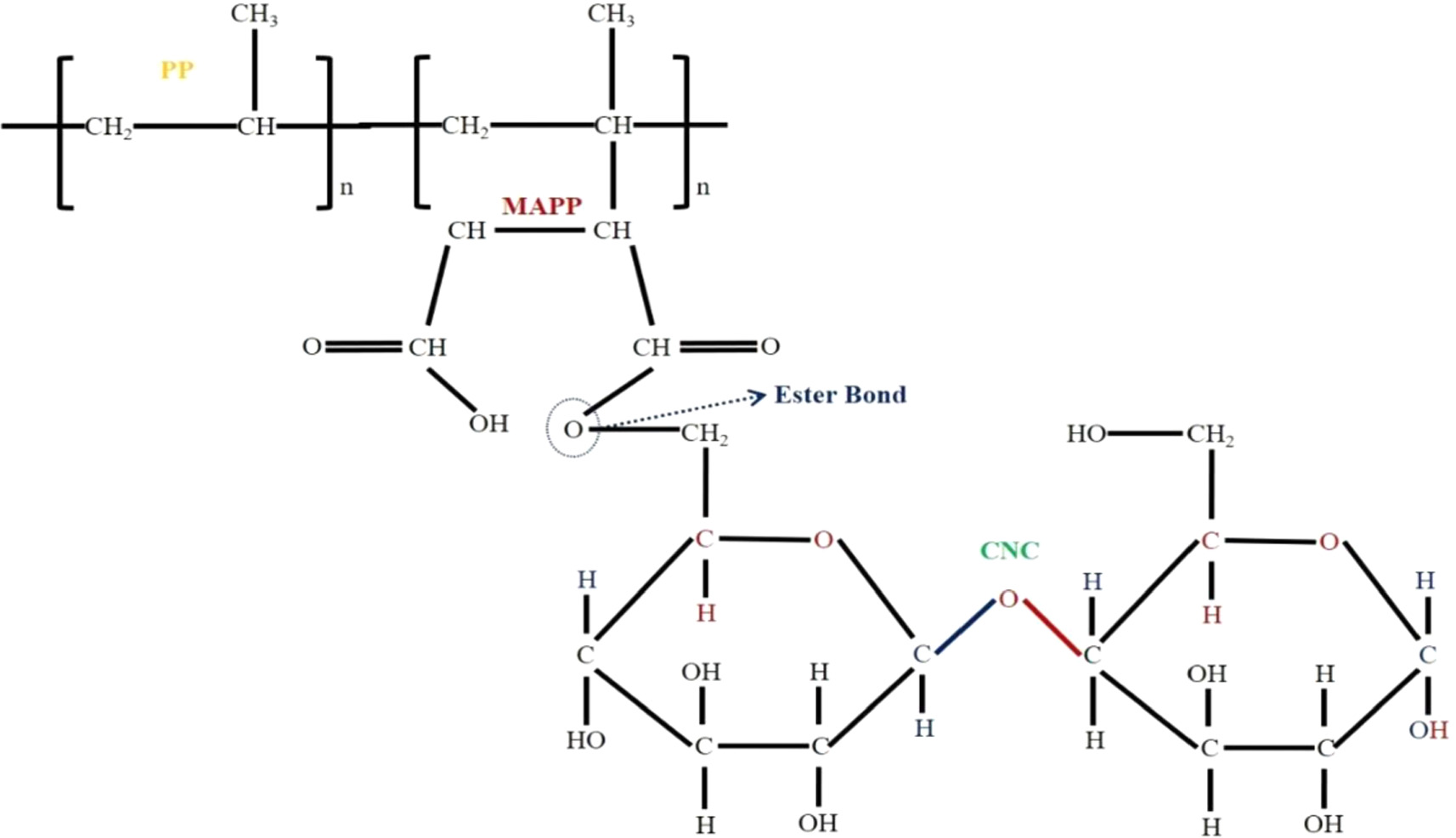 Characteristics of polypropylene-based antistatic bio-nano composites ...