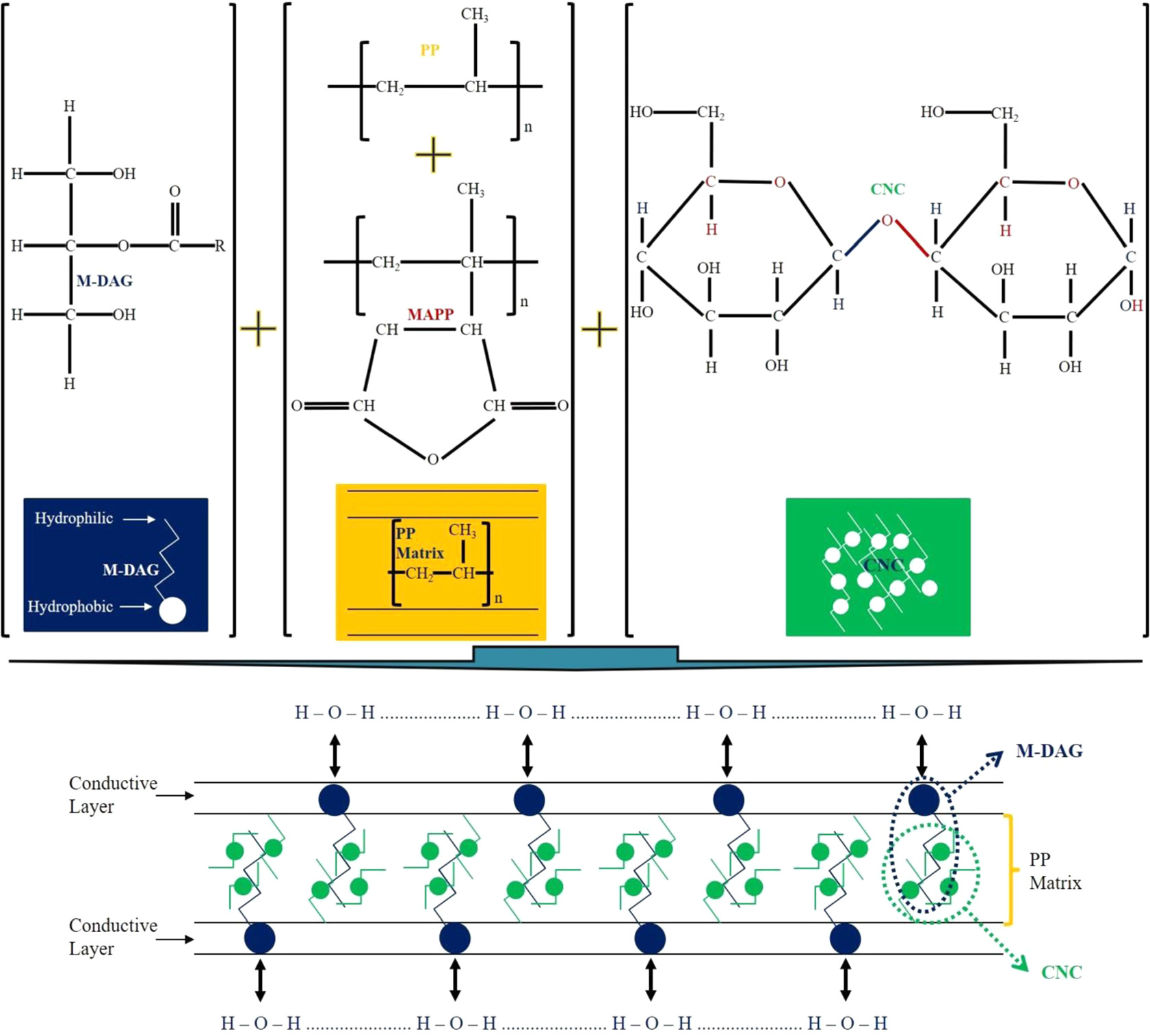 Characteristics of polypropylene-based antistatic bio-nano composites ...