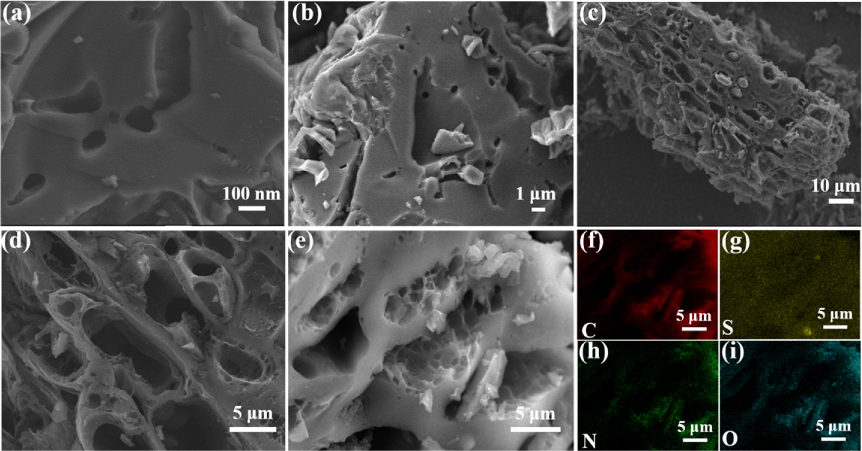 Dual heteroatom-doped biomass-derived porous carbon anode for superior ...