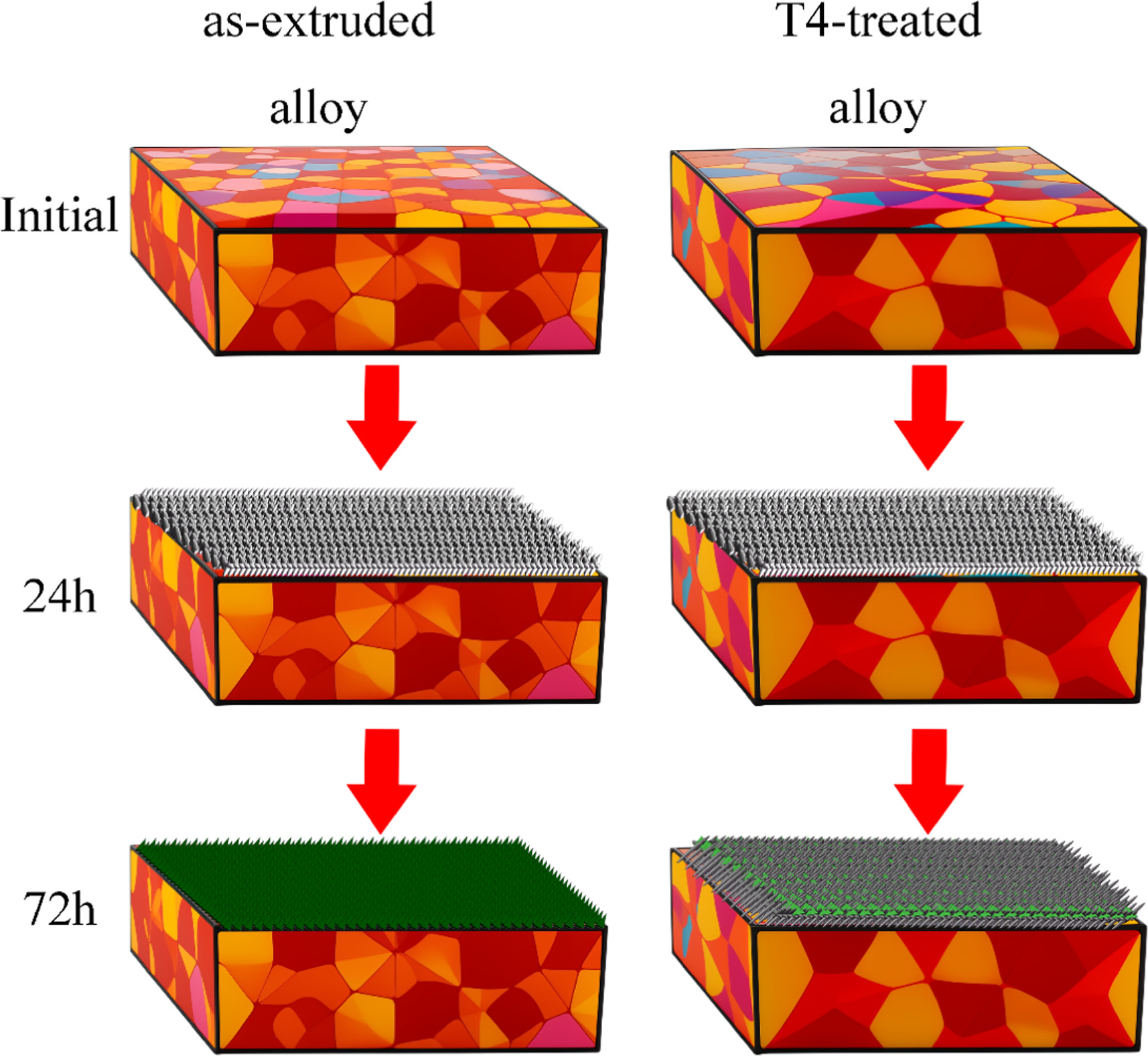 Effect of T4 treatment on the corrosion resistance of Mg-4Al-6Er-0.3Mn ...