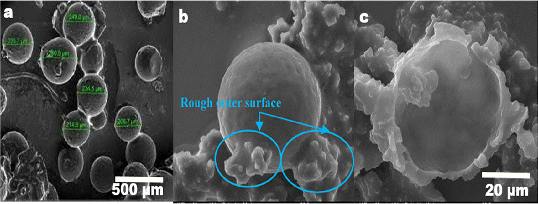 Synthesis and characterization of boiled linseed oil integrated with ...