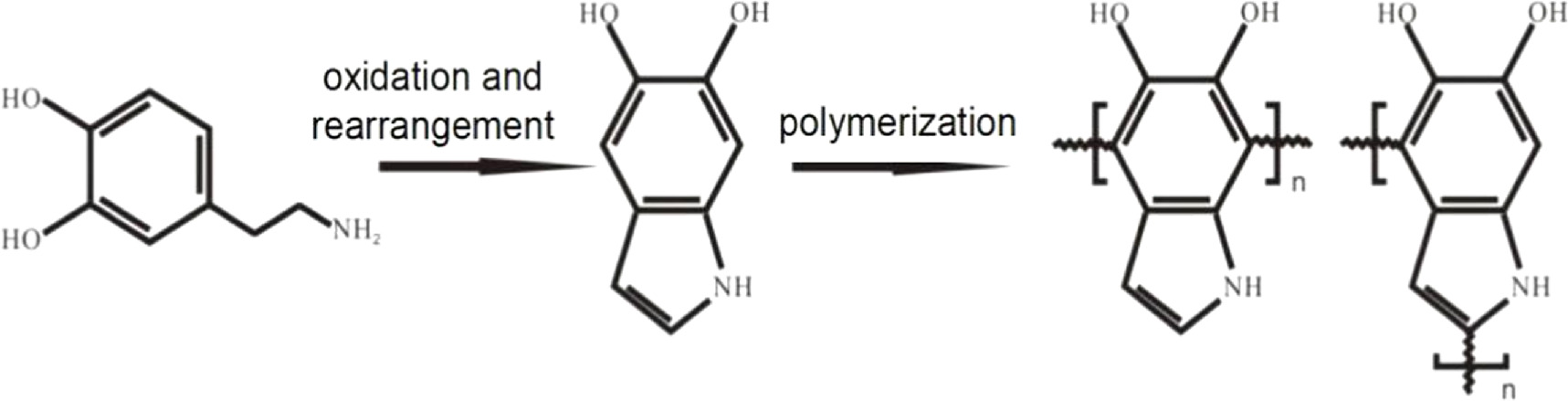 Pla Pda Preparation and adsorption application of PLA/GO/PDA nanofiber membrane ...